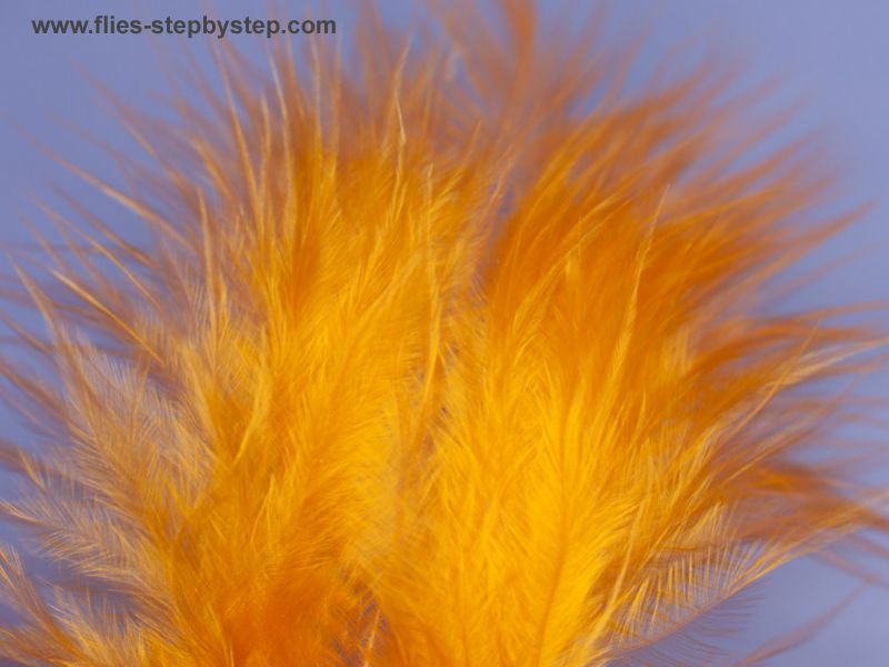Fly pattern for perch & rainbow trout How to tie fly, Fly tying Step